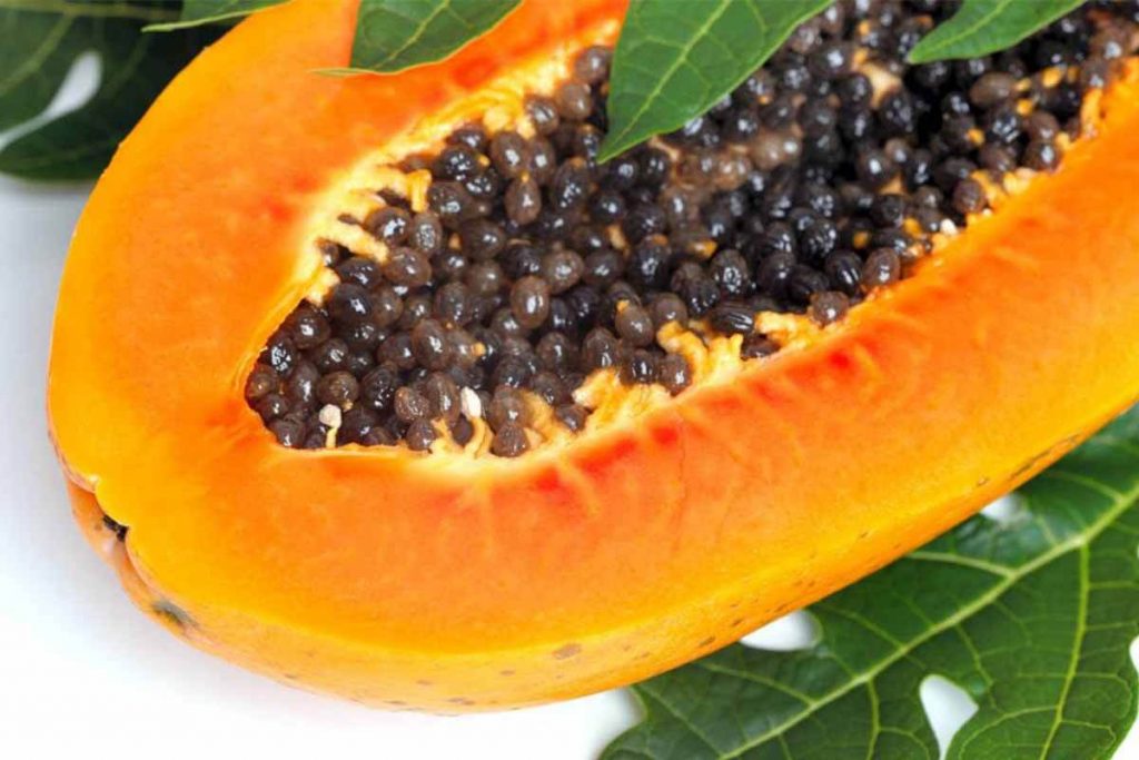 Papaya benefits saluzzo
