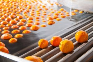 lavado frutas saluzzo congelados