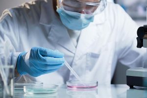 microbiologico exportaciones congelados costa rica saluzzo